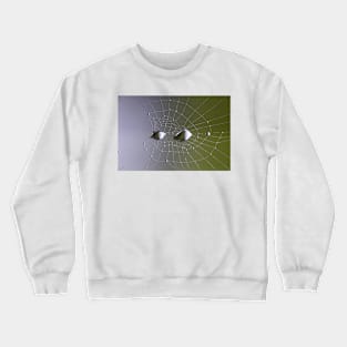 Spider web Crewneck Sweatshirt